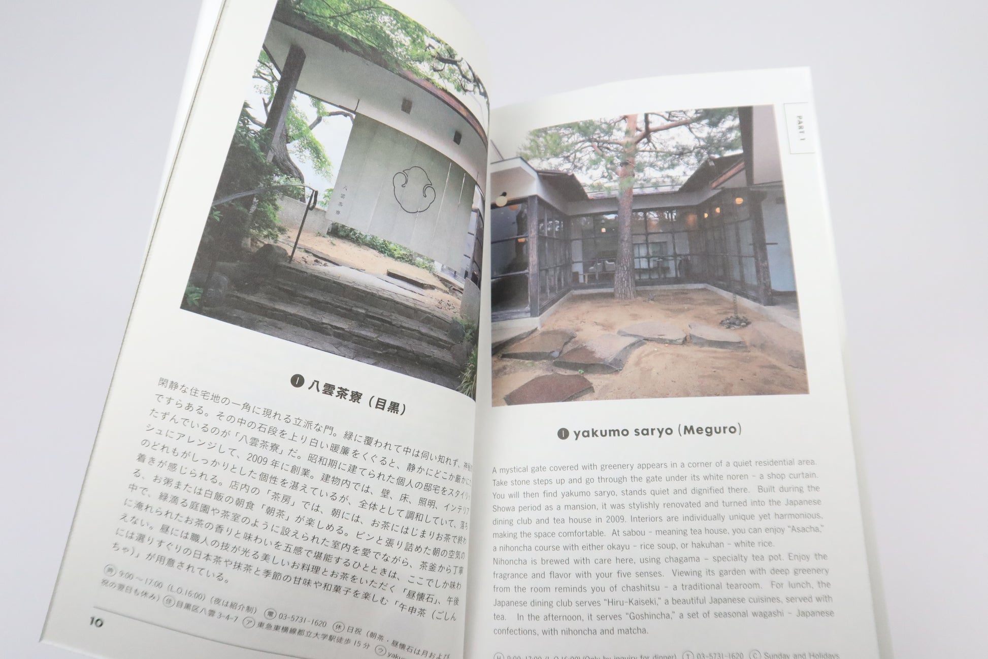 Tokyo Artrip - Japanese Green Tea