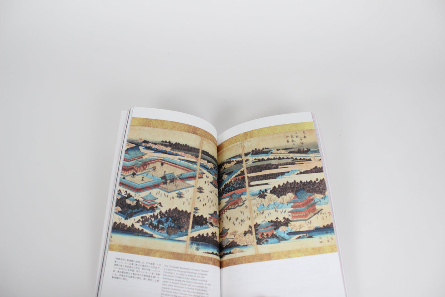 Tokyo Artrip - Shinto Shrines and Buddhist Temples