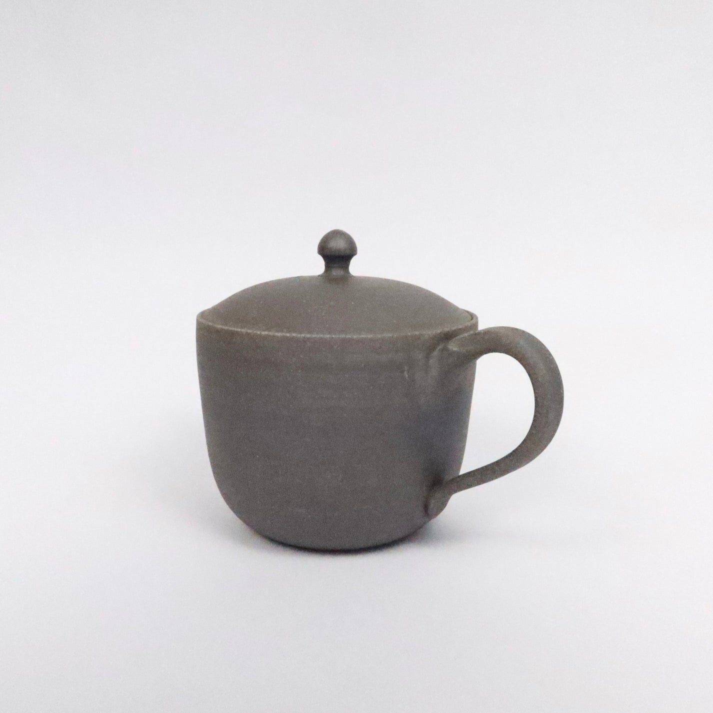 Japanese Tokoname Ceramic Pour Over Coffee & Tea pot