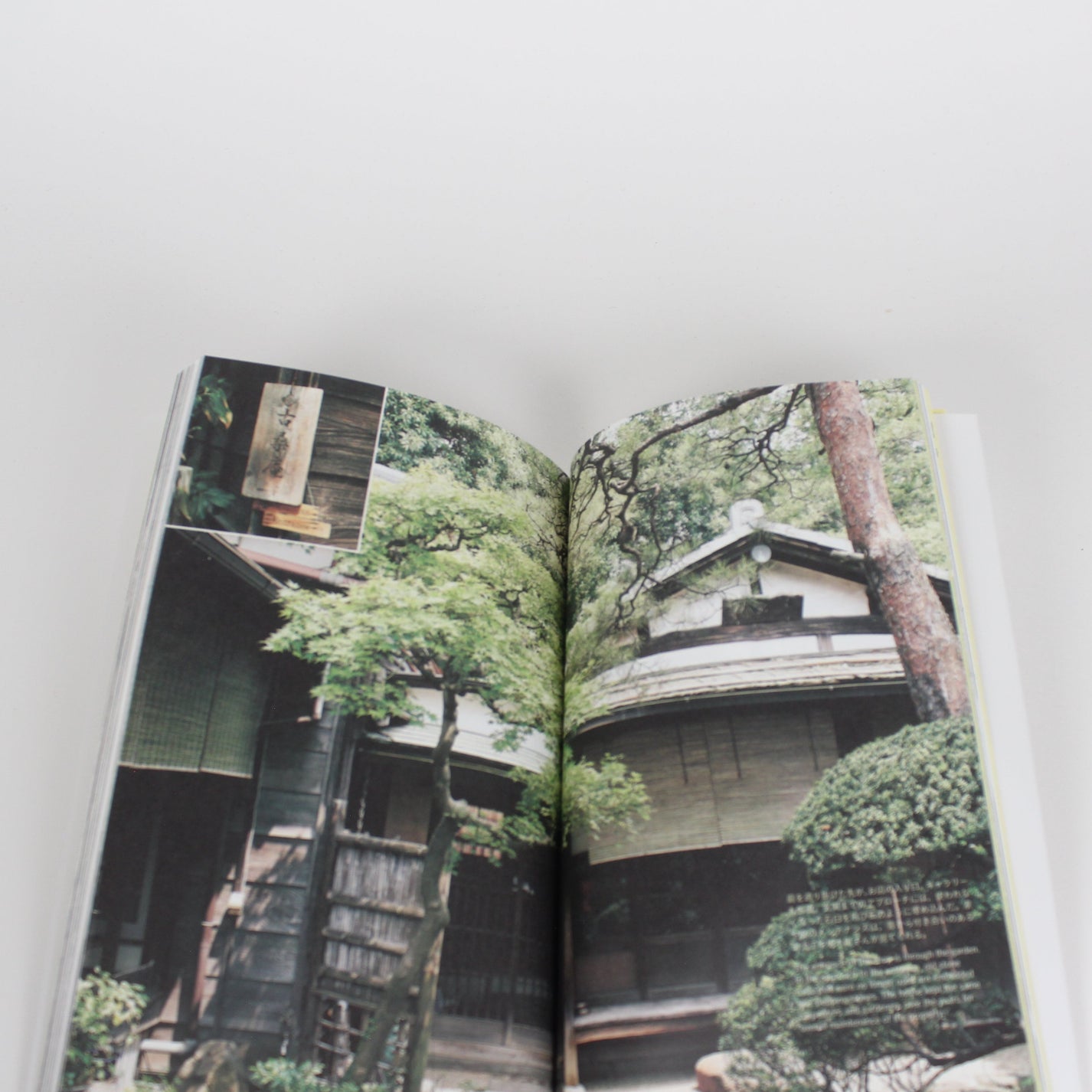 Tokyo Artrip - Coffee Shops