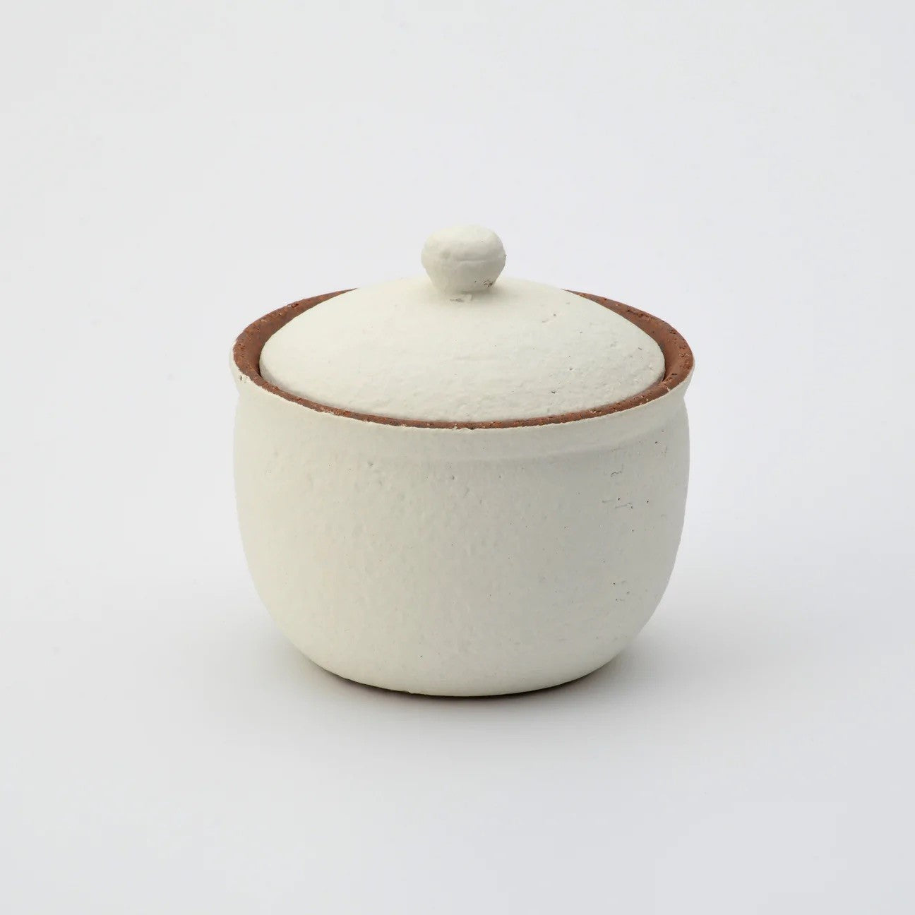 Shigaraki salt jar, large