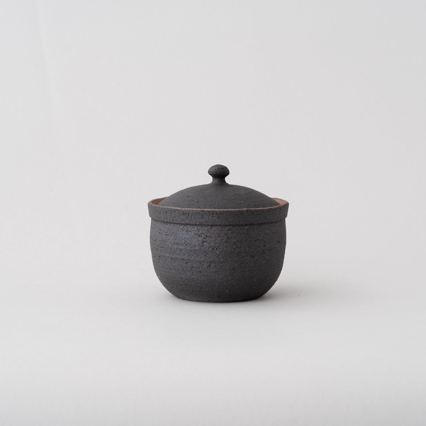 Japanese Shigaraki Ceramic Salt Jar, Large