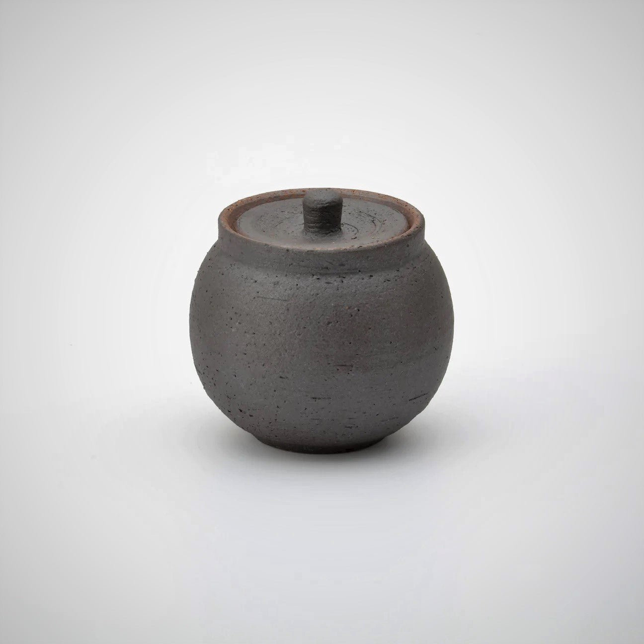 Japanese Shigaraki Ceramic Salt Jar, Small