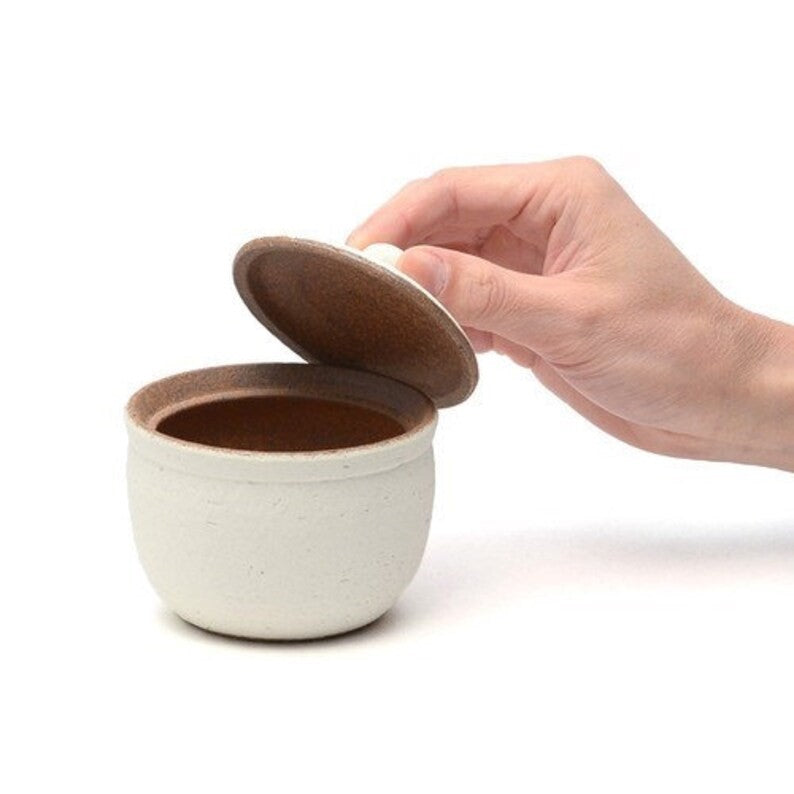Shigaraki salt jar, large