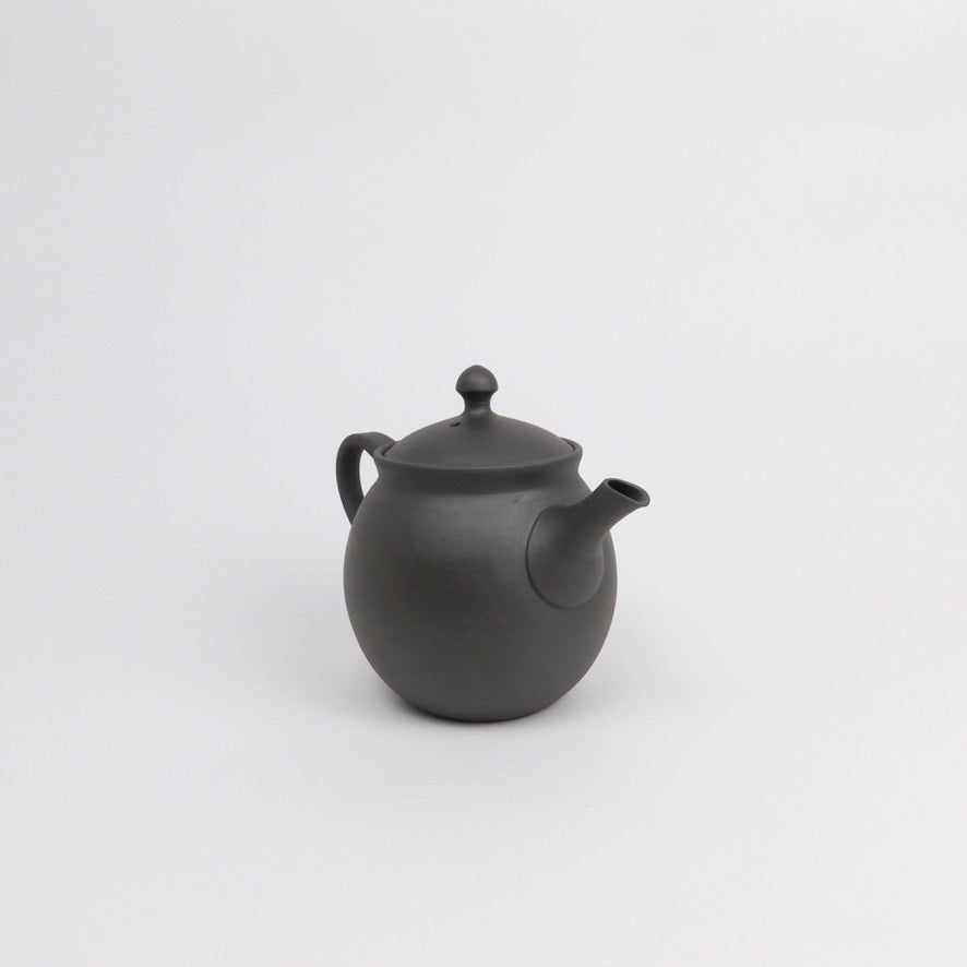 Japanese Tokoname Ceramic Kyusu Tea Pot