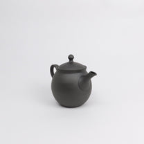 Japanese Tokoname Ceramic Kyusu Tea Pot