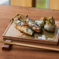 Japanese Koshigaraki Rectangular Plate, 2 Sizes