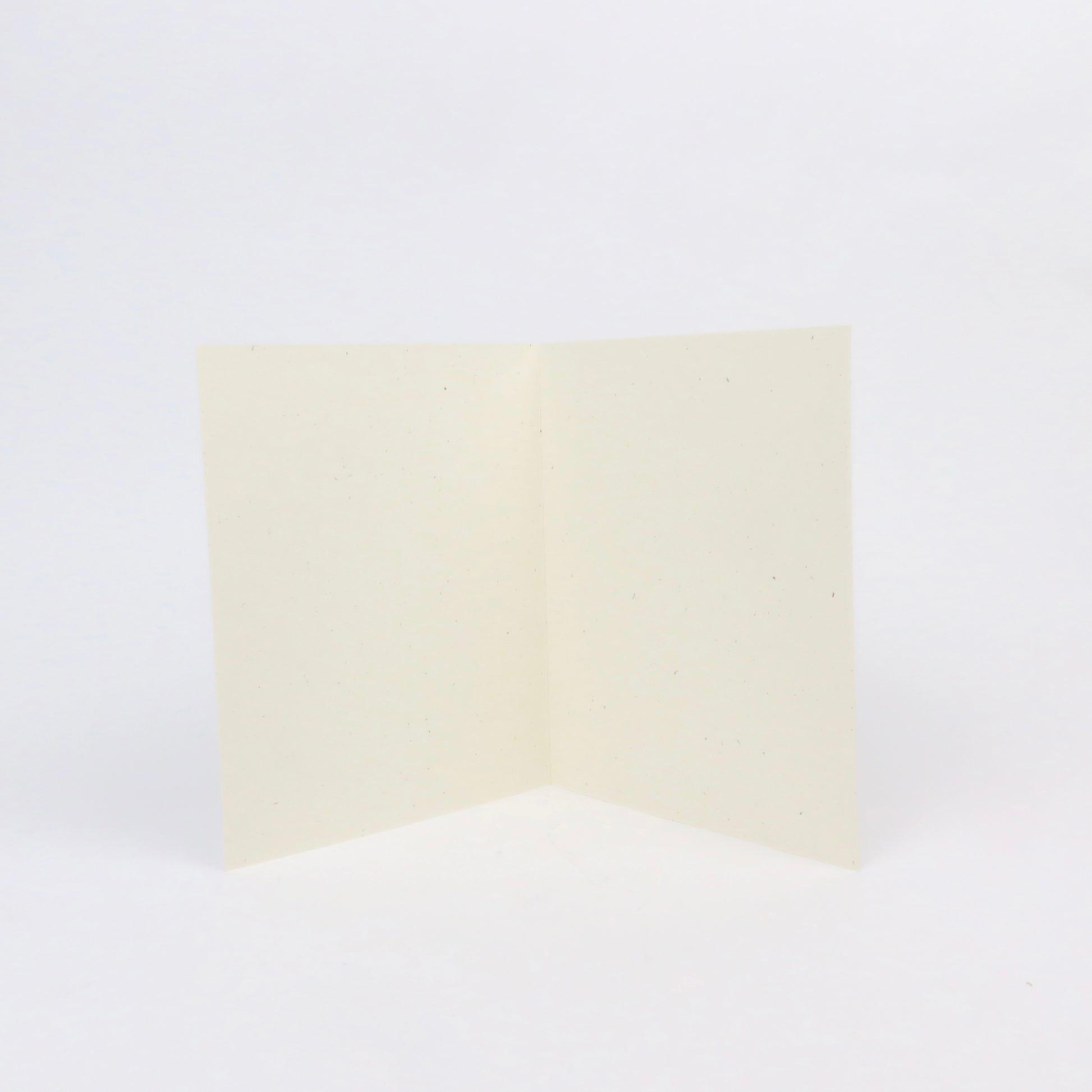 Hand Silk-screened Scallop Shells Blank Card