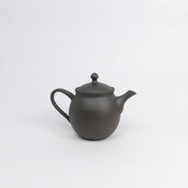 Japanese Tokoname Ceramic Kyusu Tea Pot