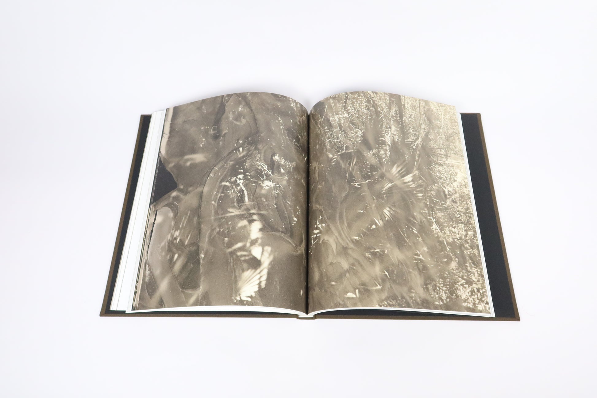 Book &quot;Wet Land&quot; by Yojiro Imasaka