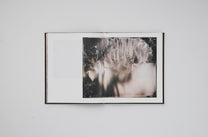 Book &quot;Wet Land&quot; by Yojiro Imasaka