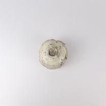 Wood-fired Ash-Glaze Ceramic Tea Cup, Mossy Green &amp; Gray