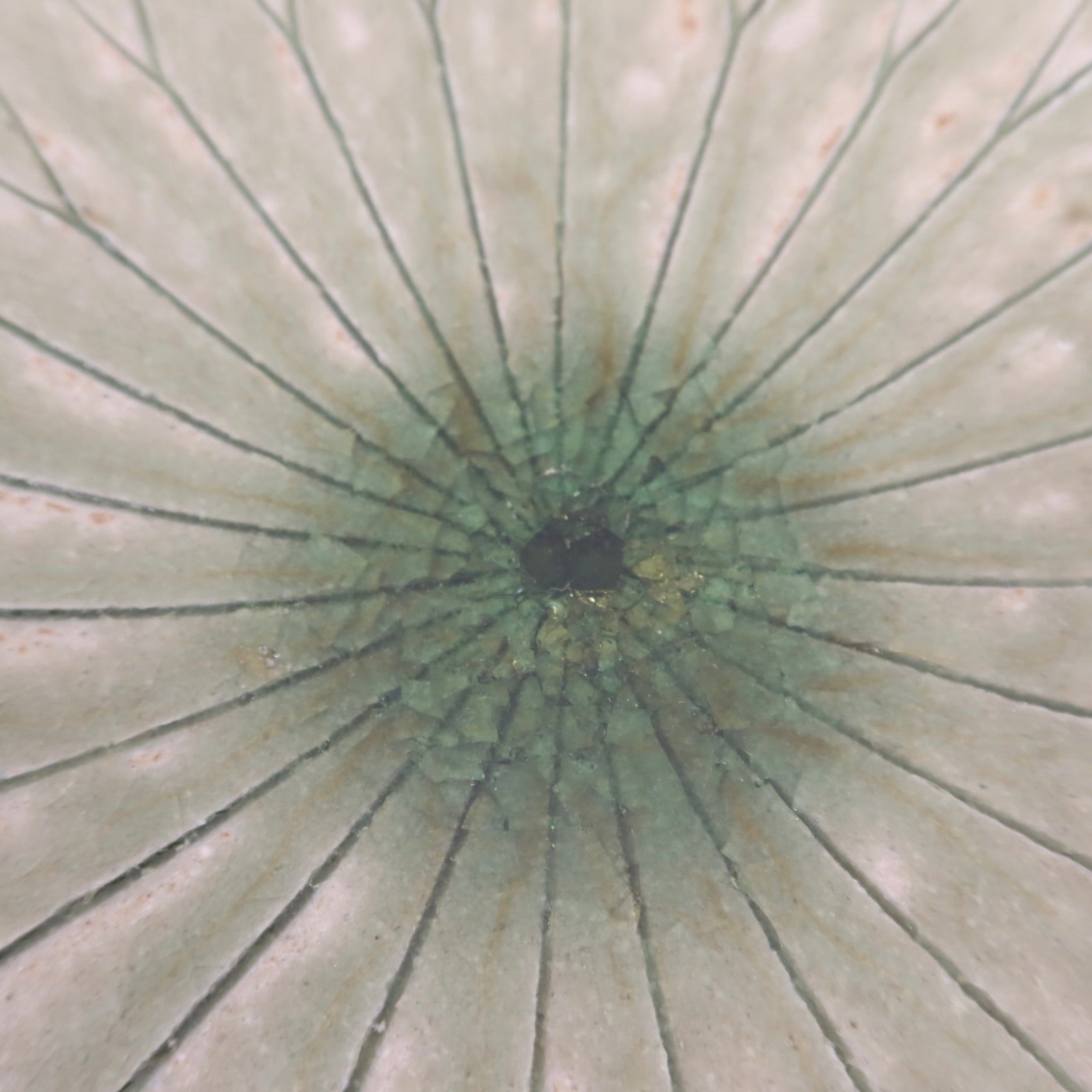 Japanese Shigaraki Ceramic Lotus Bowl