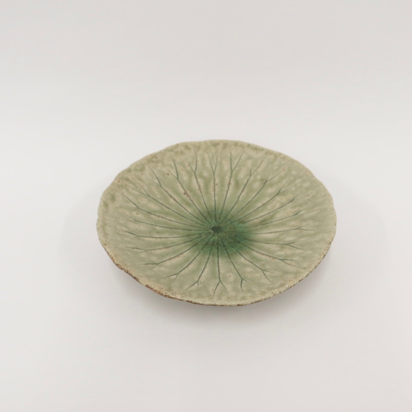 (Back in stock) Japanese Shigaraki Ceramic Lotus Bowl