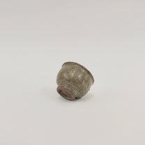 Japanese Shigaraki Tea Cup in Earthy Gray