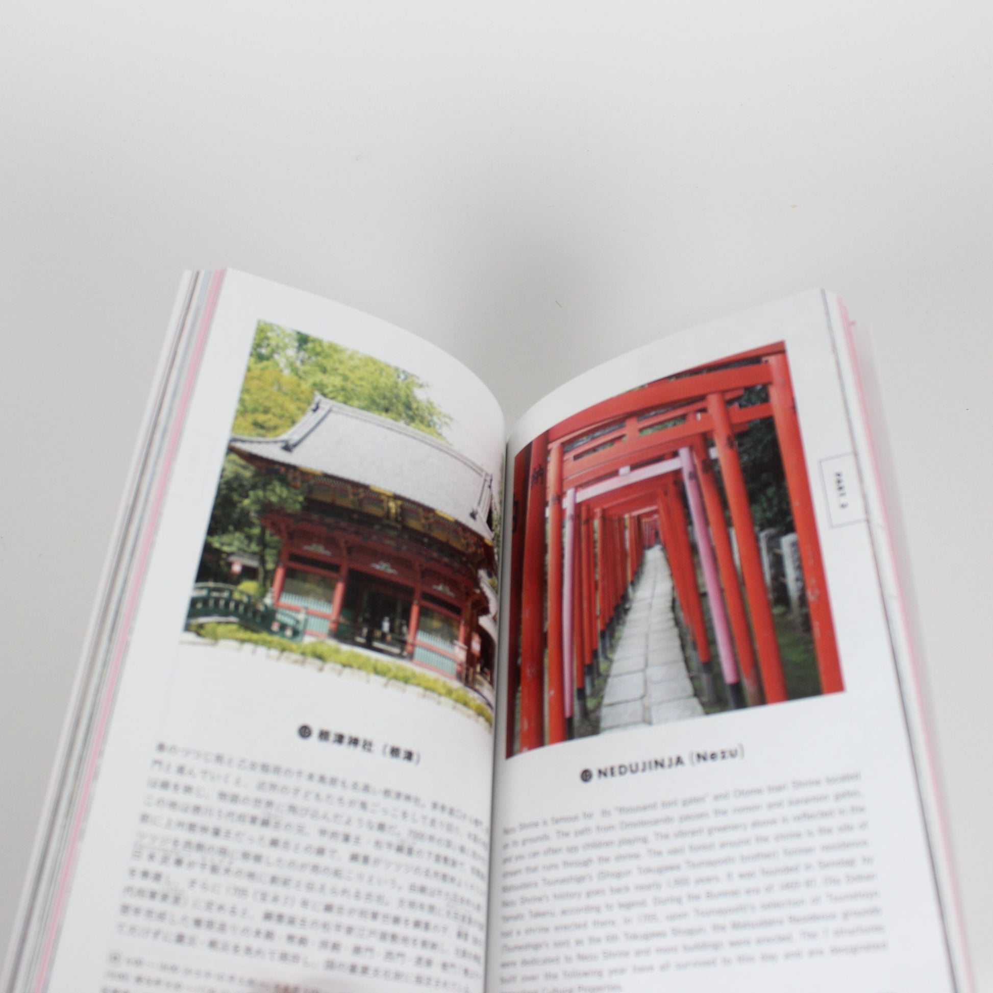 Tokyo Artrip - Shinto Shrines and Buddhist Temples