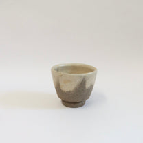 Japanese Shigaraki Sakazome Yunomi