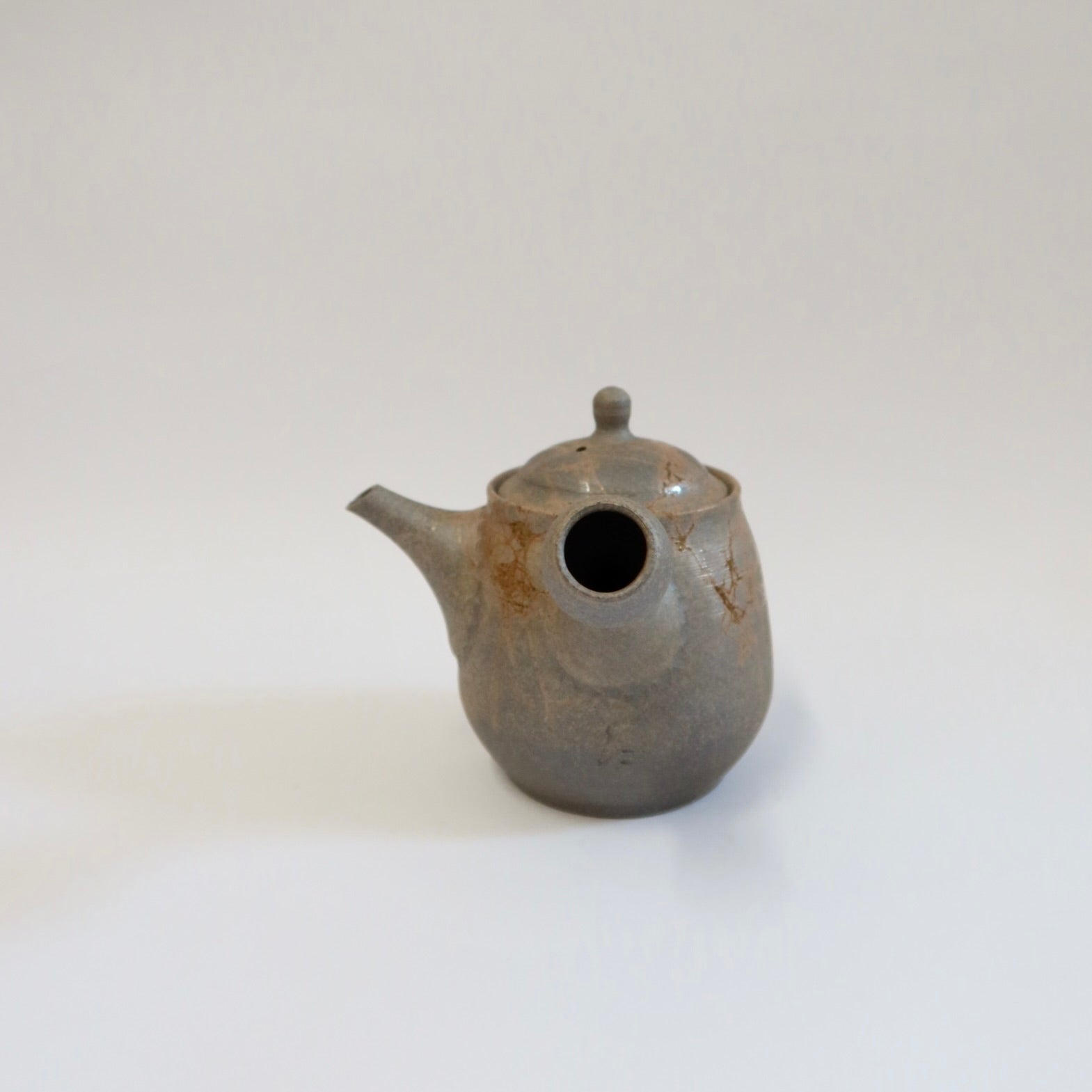 Japanese Tokoname Mogake Kyusu Tea Pot
