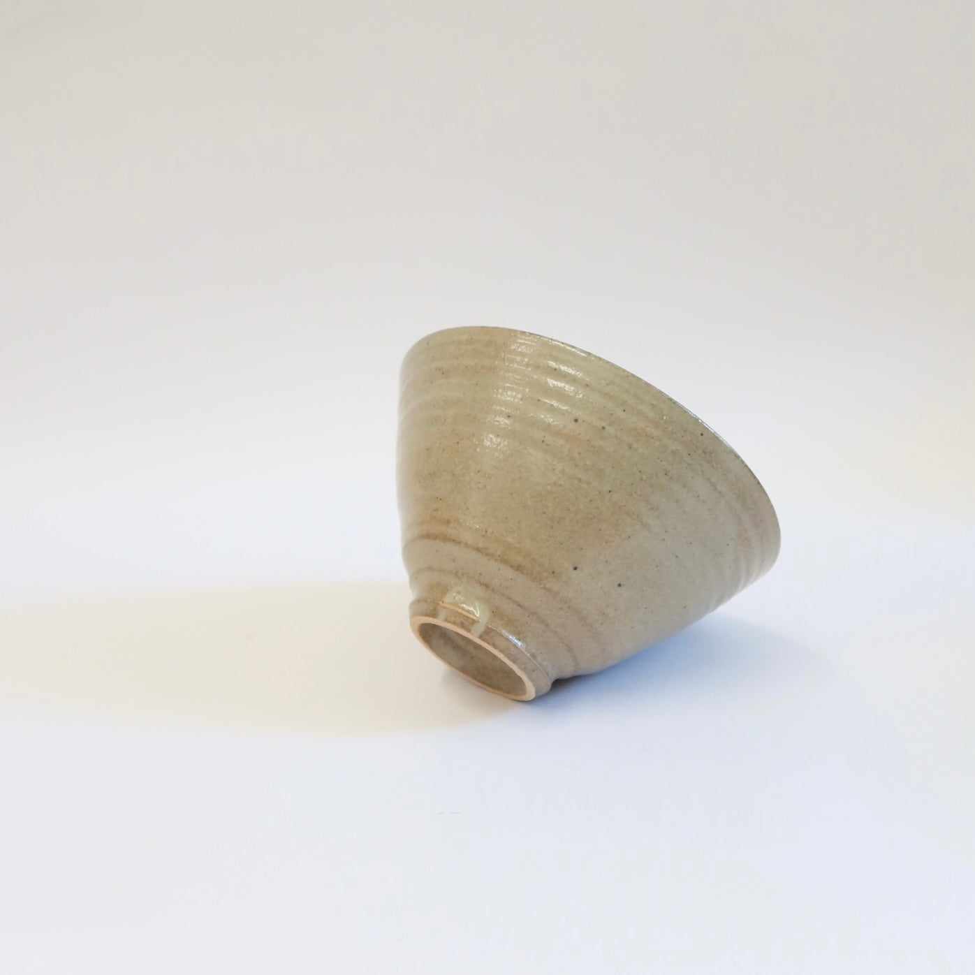 Japanese Shigaraki Ceramic Bowl in Beige
