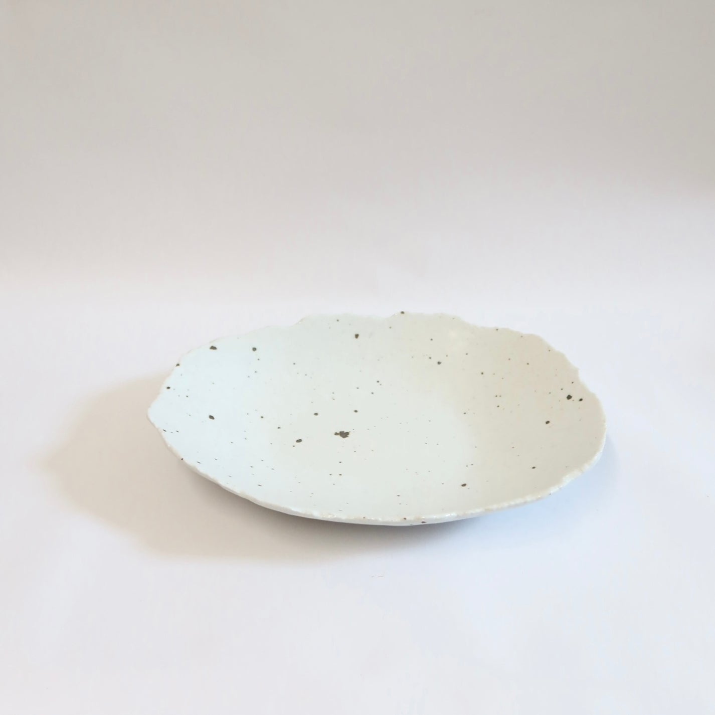 Korean Ceramic Shallow Speckled Bowl