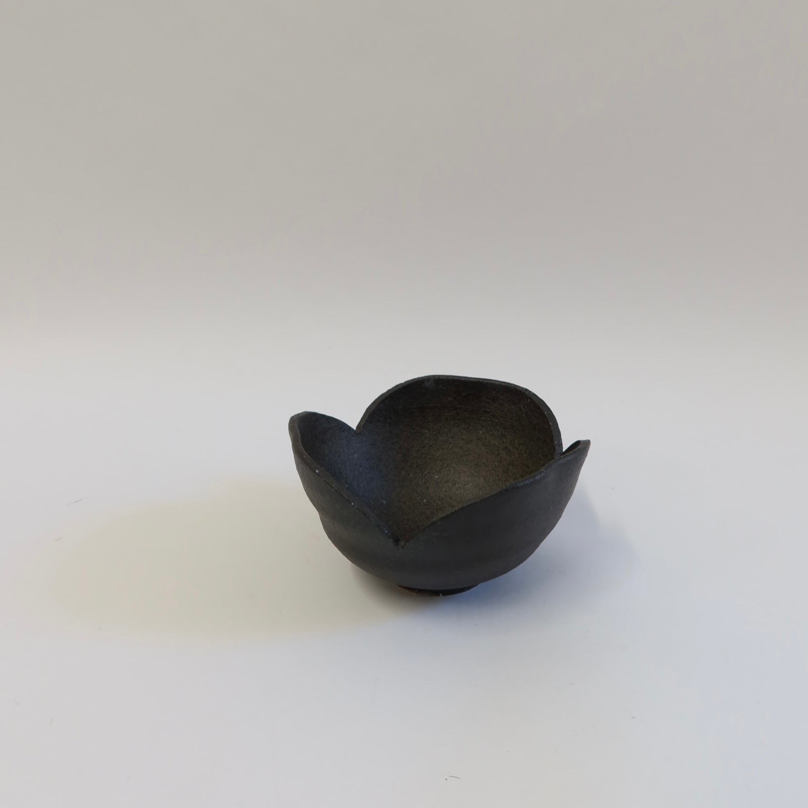 Japanese Shigaraki Koshiabura (コシアブラ) Flower Bowl