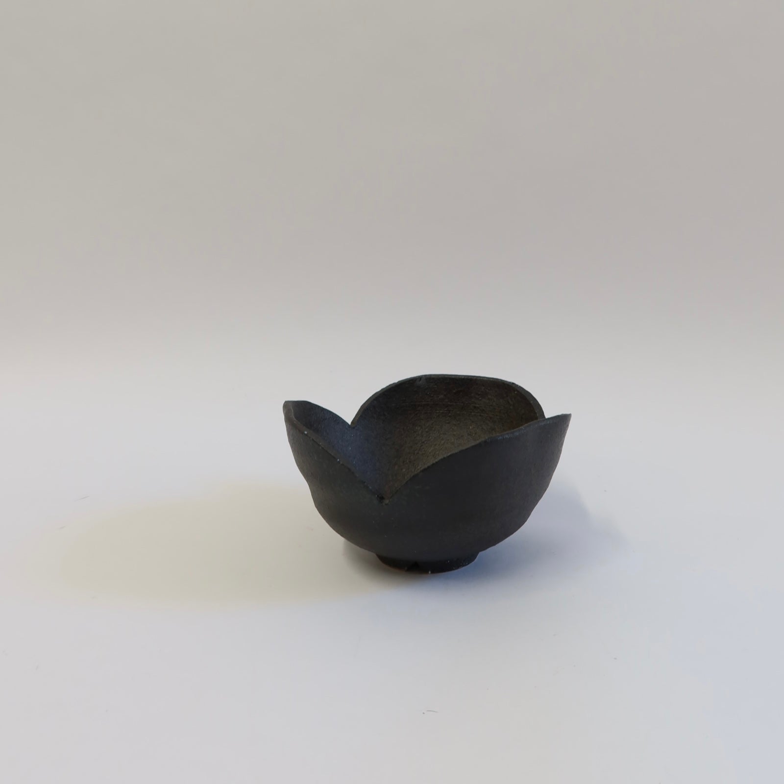 Japanese Shigaraki Koshiabura (コシアブラ) Flower Bowl
