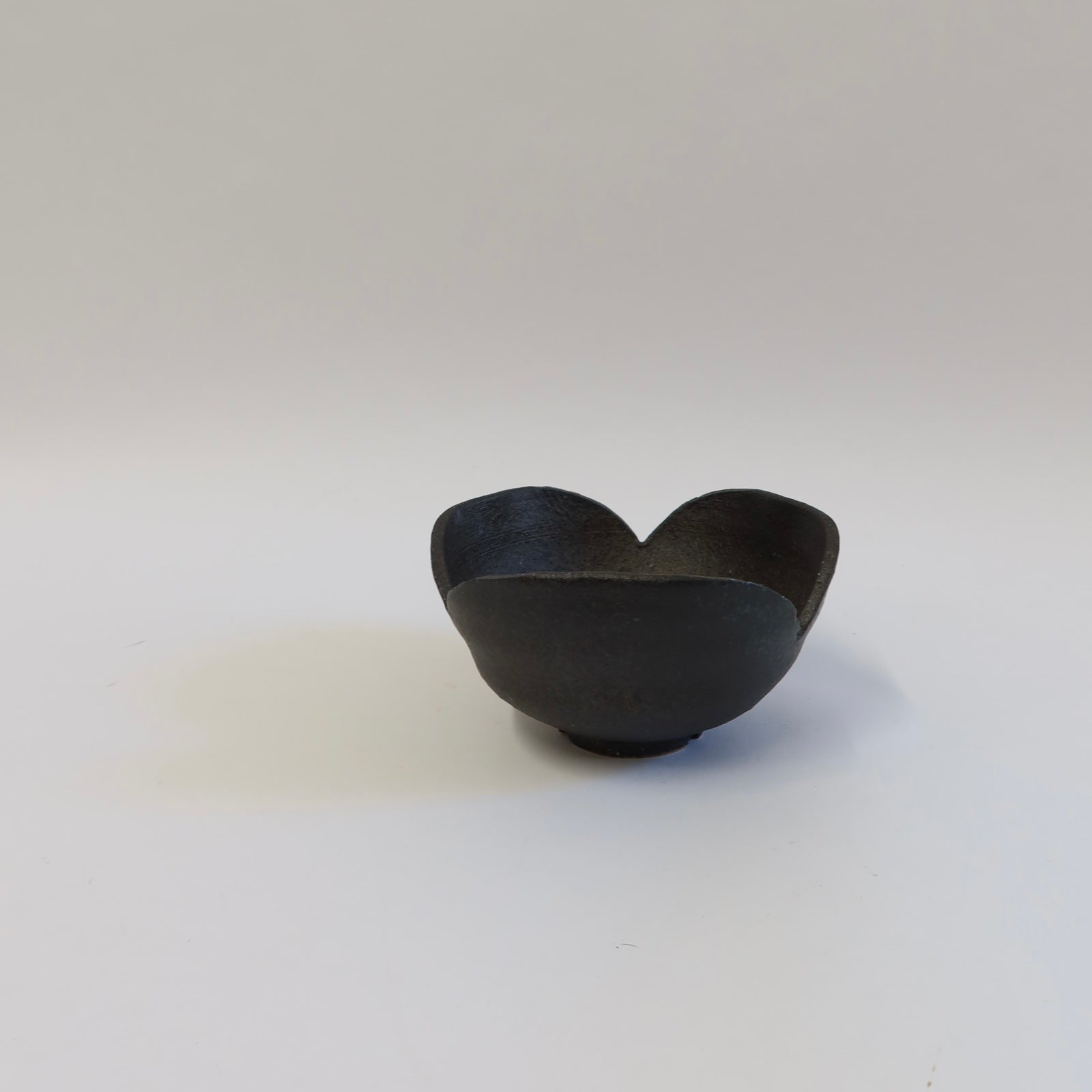 Japanese Shigaraki Koshiabura (コシアブラ) Flower Bowl
