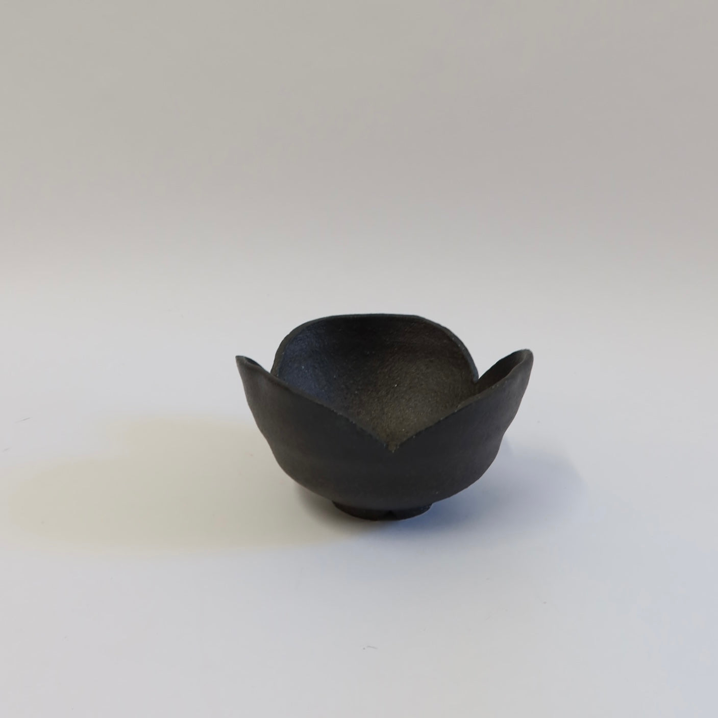 Japanese Shigaraki Koshiabura (コシアブラ) Flower Bowl