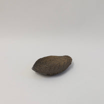 Japanese Shigaraki Konoha-zara (木の葉皿) Leaf Plate, Earthy Brown
