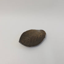 Japanese Shigaraki Konoha-zara (木の葉皿) Leaf Plate, Earthy Brown