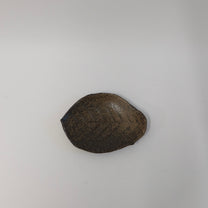 Japanese Shigaraki Konoha-zara (木の葉皿) Leaf Plate, Earthy Brown