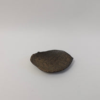Japanese Shigaraki Konoha-zara (木の葉皿) Leaf Plate, Earthy Brown