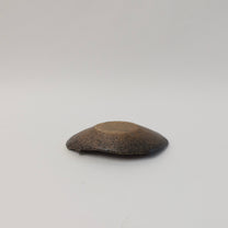 Japanese Shigaraki Konoha-zara (木の葉皿) Leaf Plate, Earthy Brown