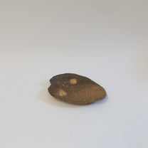 Travel edition: Japanese Wood-fired Shigaraki Leaf-shaped Plate