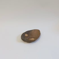 Travel edition: Japanese Wood-fired Shigaraki Leaf-shaped Plate