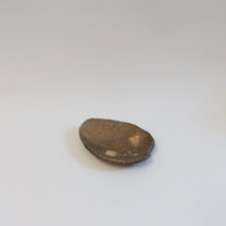 Travel edition: Japanese Wood-fired Shigaraki Leaf-shaped Plate