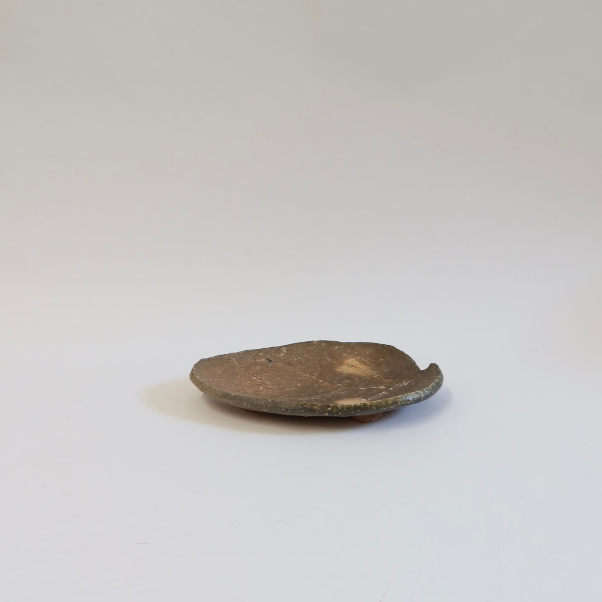 Travel edition: Japanese Wood-fired Shigaraki Leaf-shaped Plate