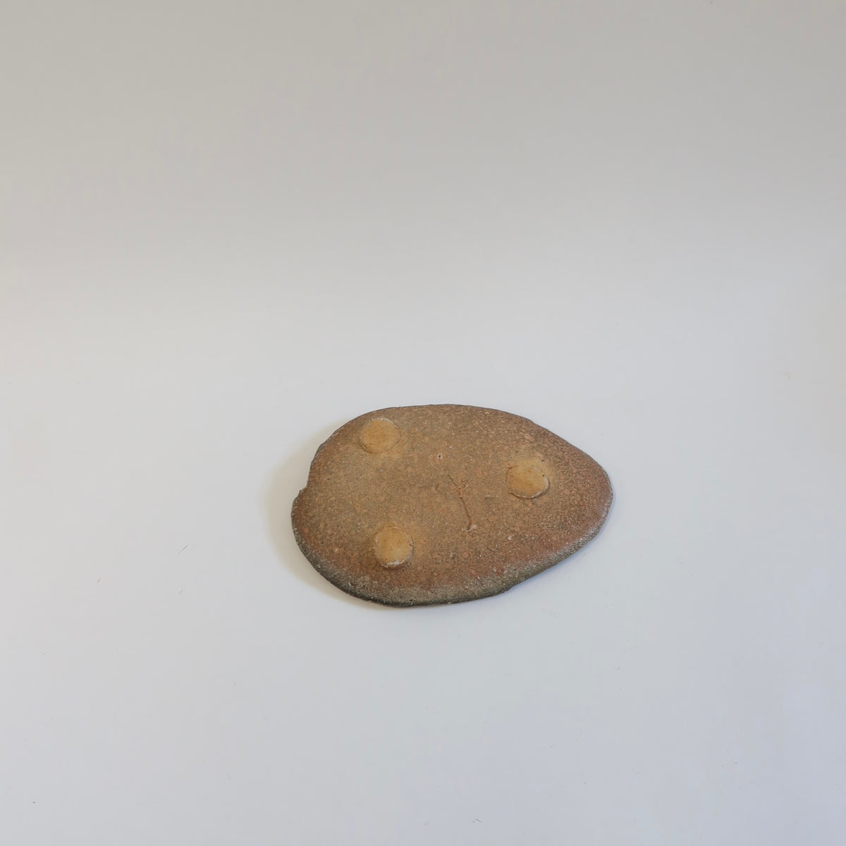 Travel edition: Japanese Wood-fired Shigaraki Leaf-shaped Plate