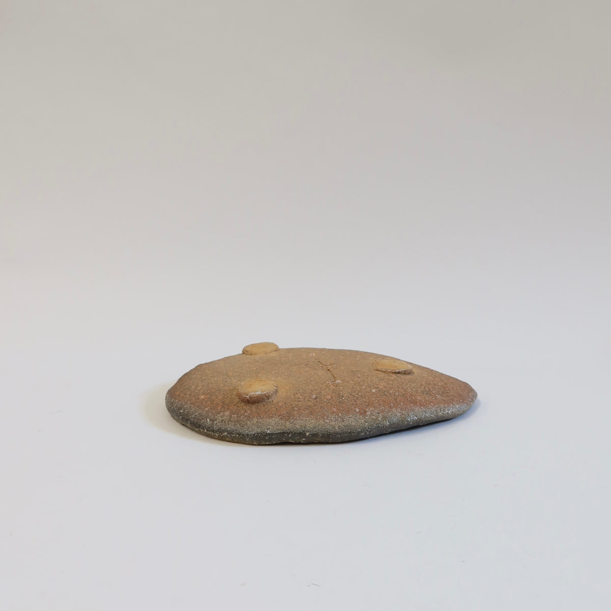 Travel edition: Japanese Wood-fired Shigaraki Leaf-shaped Plate