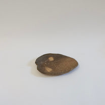 Travel edition: Japanese Wood-fired Shigaraki Leaf-shaped Plate