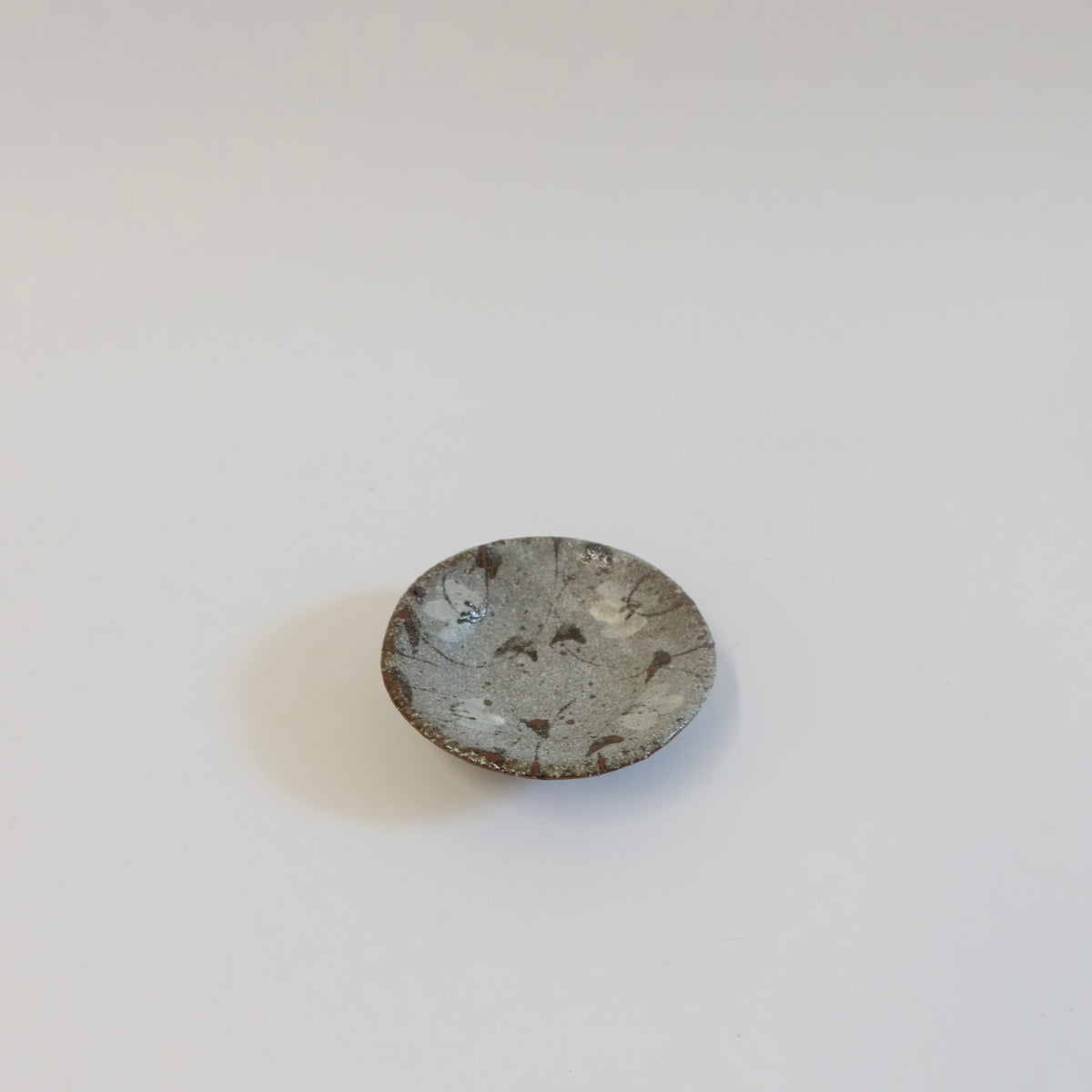 Japanese Ceramic Mamezara Plate Set