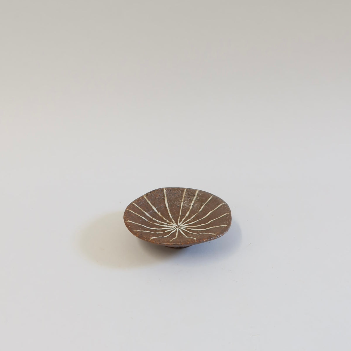 Japanese Ceramic Mamezara Plate Set