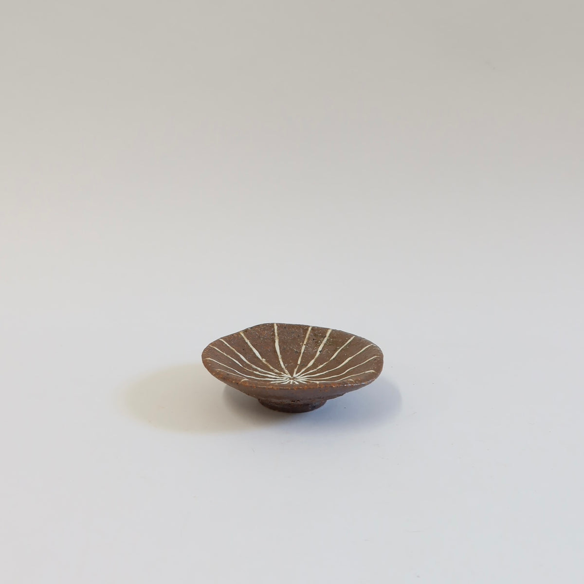 Japanese Ceramic Mamezara Plate Set