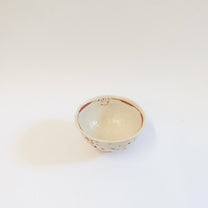 Japanese Hana Akae Hand-painted Floral Bowl