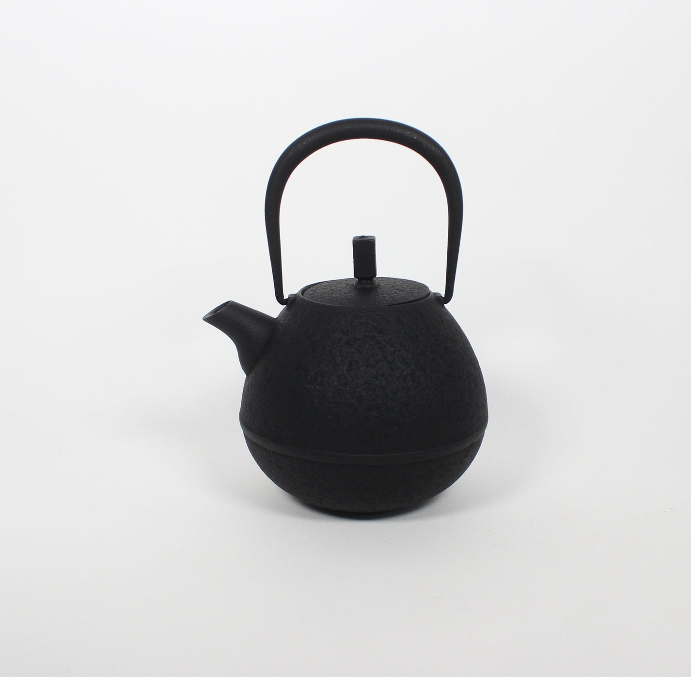 Japanese Nambu Tekki &quot;Egg&quot; Kyusu Tea Pot, Medium