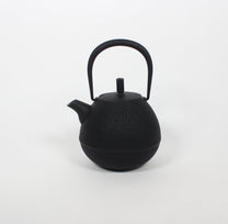 Japanese Nambu Tekki &quot;Egg&quot; Kyusu Tea Pot, Medium