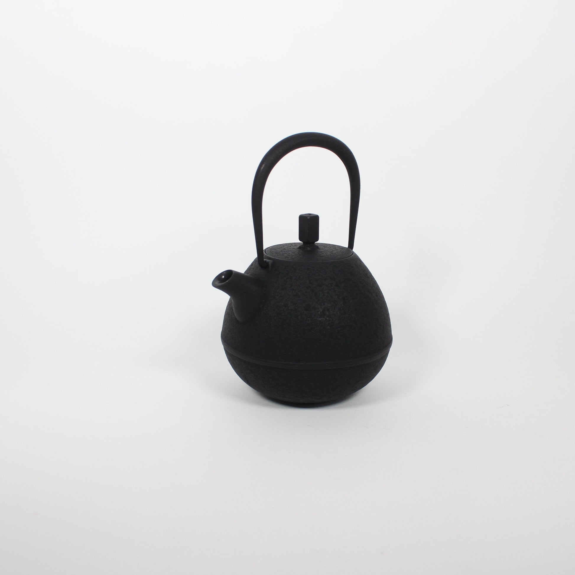 Japanese Nambu Tekki &quot;Egg&quot; Kyusu Tea Pot, Medium