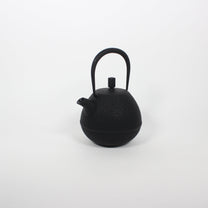Japanese Nambu Tekki &quot;Egg&quot; Kyusu Tea Pot, Medium