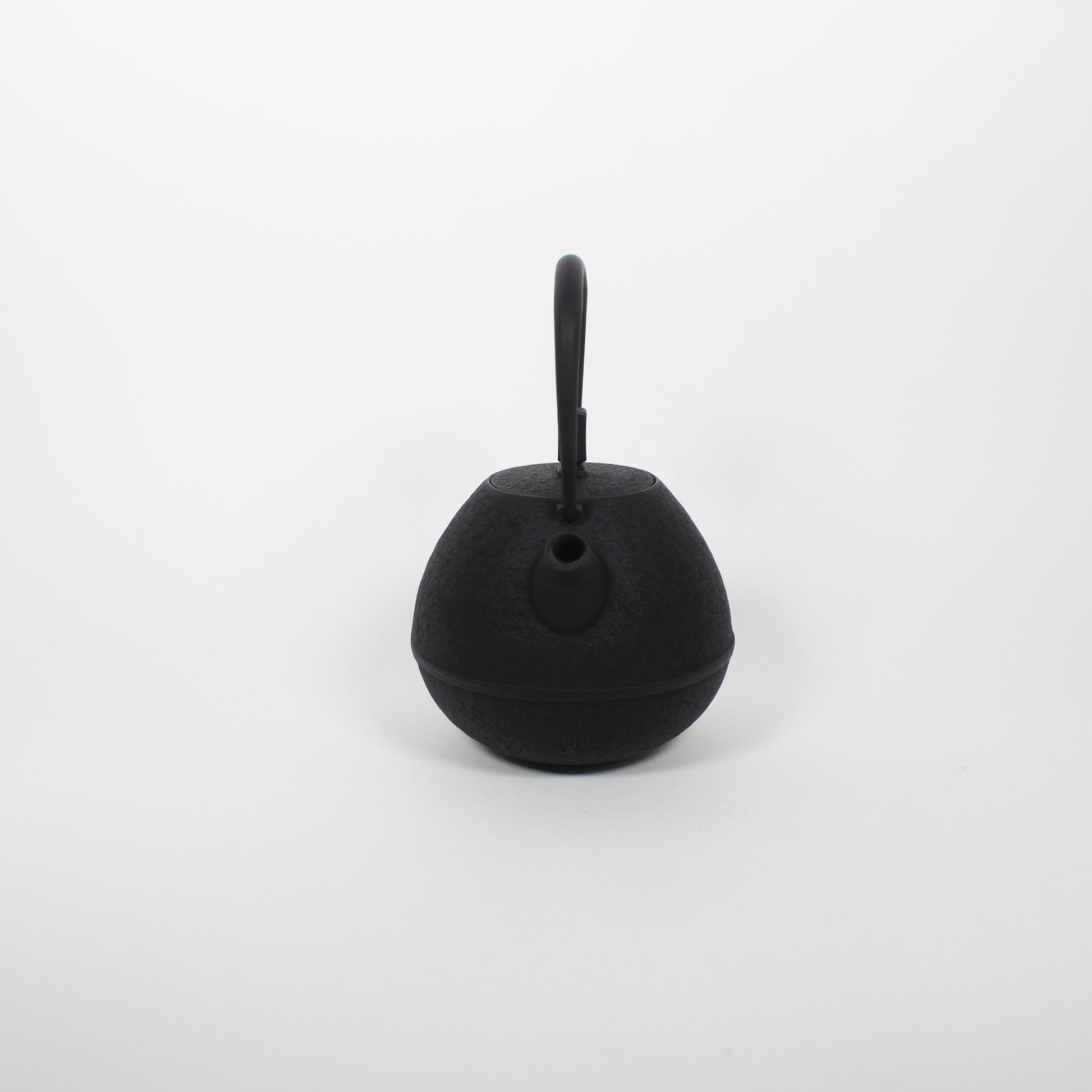 Japanese Nambu Tekki &quot;Egg&quot; Kyusu Tea Pot, Medium