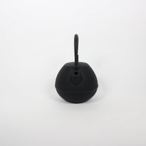 Japanese Nambu Tekki &quot;Egg&quot; Kyusu Tea Pot, Medium